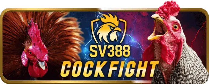Khuyến mãi bo88 link vào